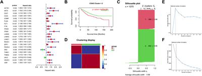 Multi-omics analysis reveals focal adhesion characteristic associated tumor immune microenvironment in colon adenocarcinoma